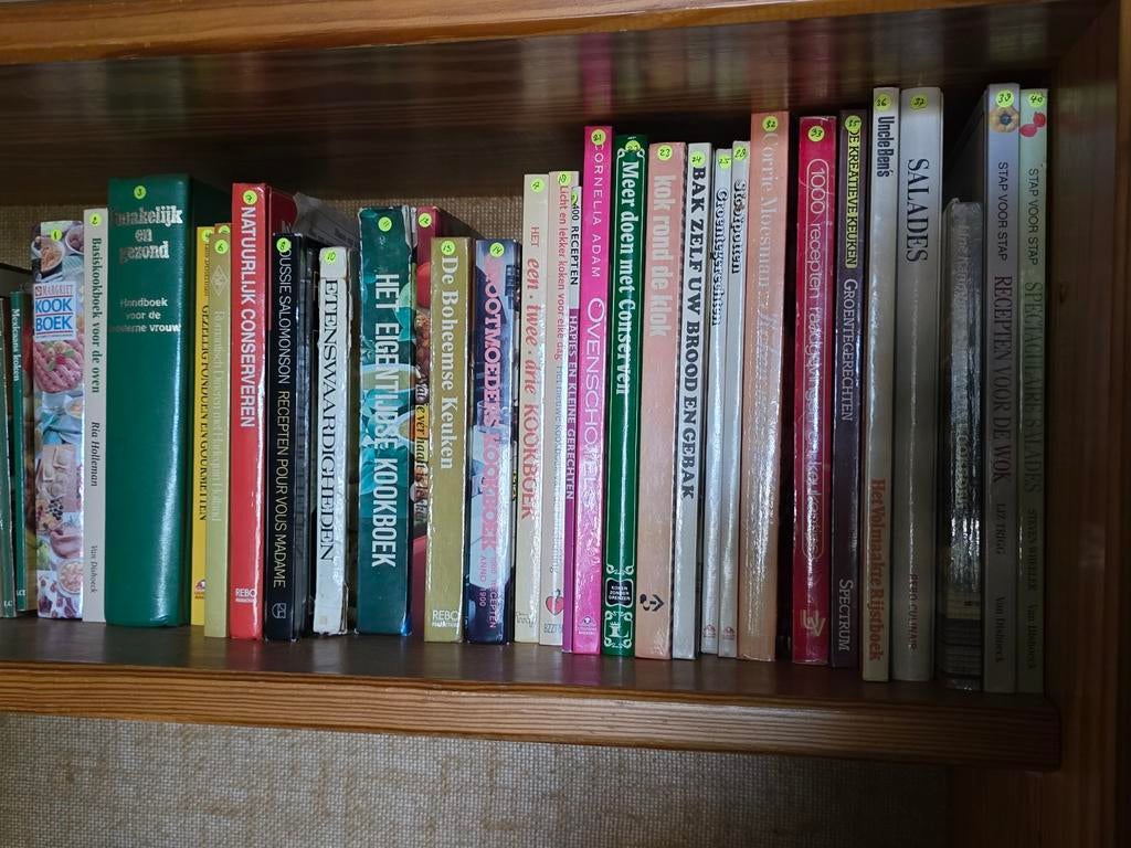 Diverse Kookboeken: Van Salades tot Ovenschotels, Gelezen, Diverse auteurs, Ophalen of Verzenden, Hoofdgerechten