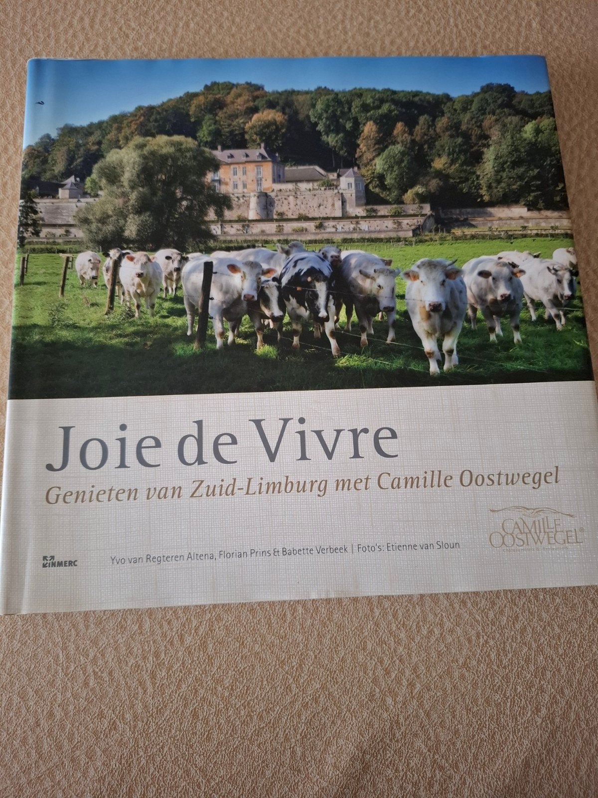 Joie de Vivre, Overige typen, Ophalen of Verzenden, Zo goed als nieuw, Yvo van Regteren Altena , Florian Prins