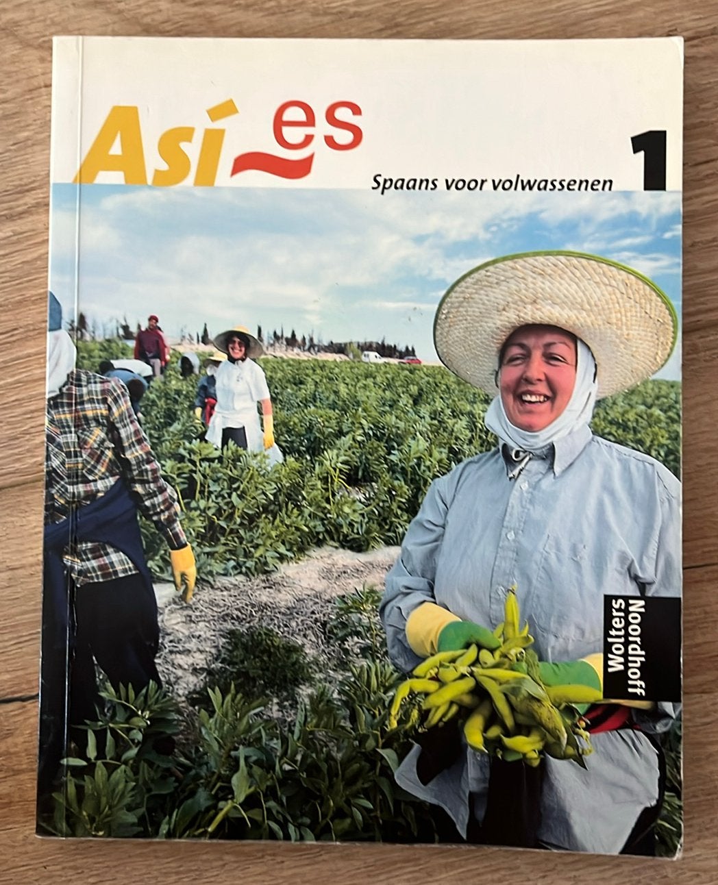 Así es 1 bronnenboek lesmethode Spaans voor volwassenen, Boeken, Ophalen of Verzenden, Alpha, Zo goed als nieuw, M. van der Linden; K. van Esch; A. Escofet