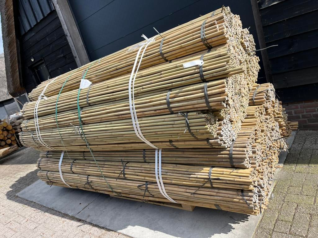Bonenstokken bamboestok tonkin moes/groentetuin plantensteun, Tuin en Terras, Palen, Balken en Planken, Ophalen of Verzenden, Nieuw