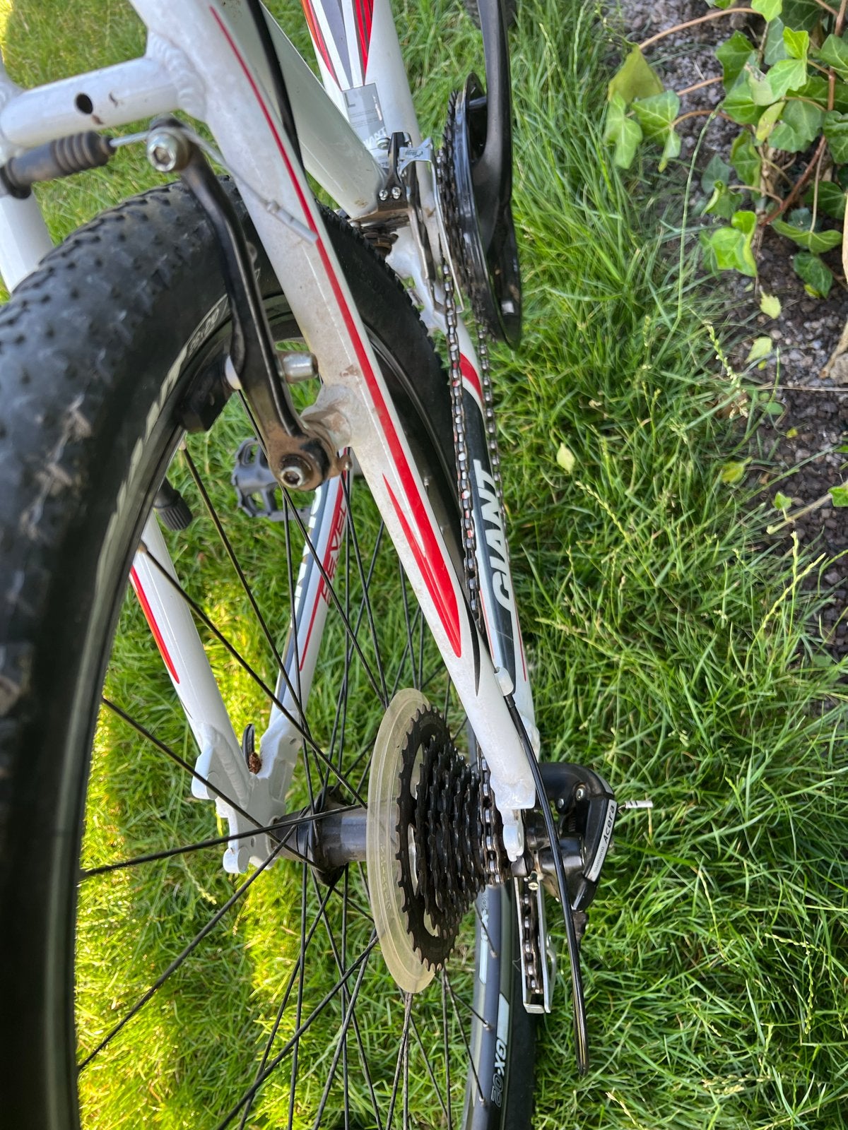 Giant Mountainbike - Ophalen in Stad aan 't Haringvliet/Spij, Ophalen, Gebruikt, 57 cm of meer, Hardtail
