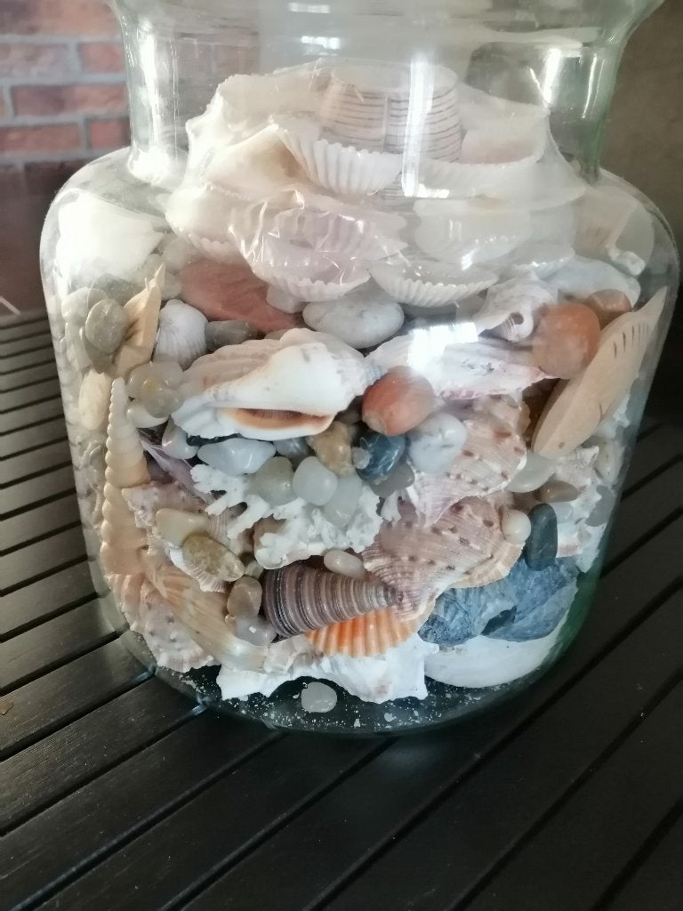Grote glazen vaas gevuld met schelpen en natuurstenen, Ophalen of Verzenden, Schelp(en)
