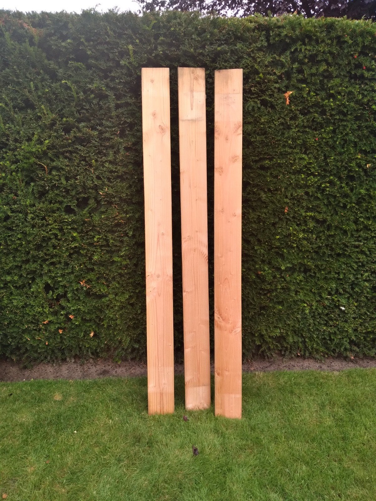 Douglas rabatdelen, Ophalen, Nieuw, 250 cm of meer, Planken
