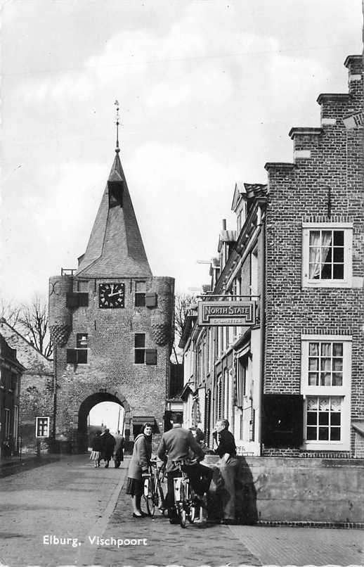 377-158-011 Elburg Vischpoort, Verzenden, Voor 1920, Gelderland