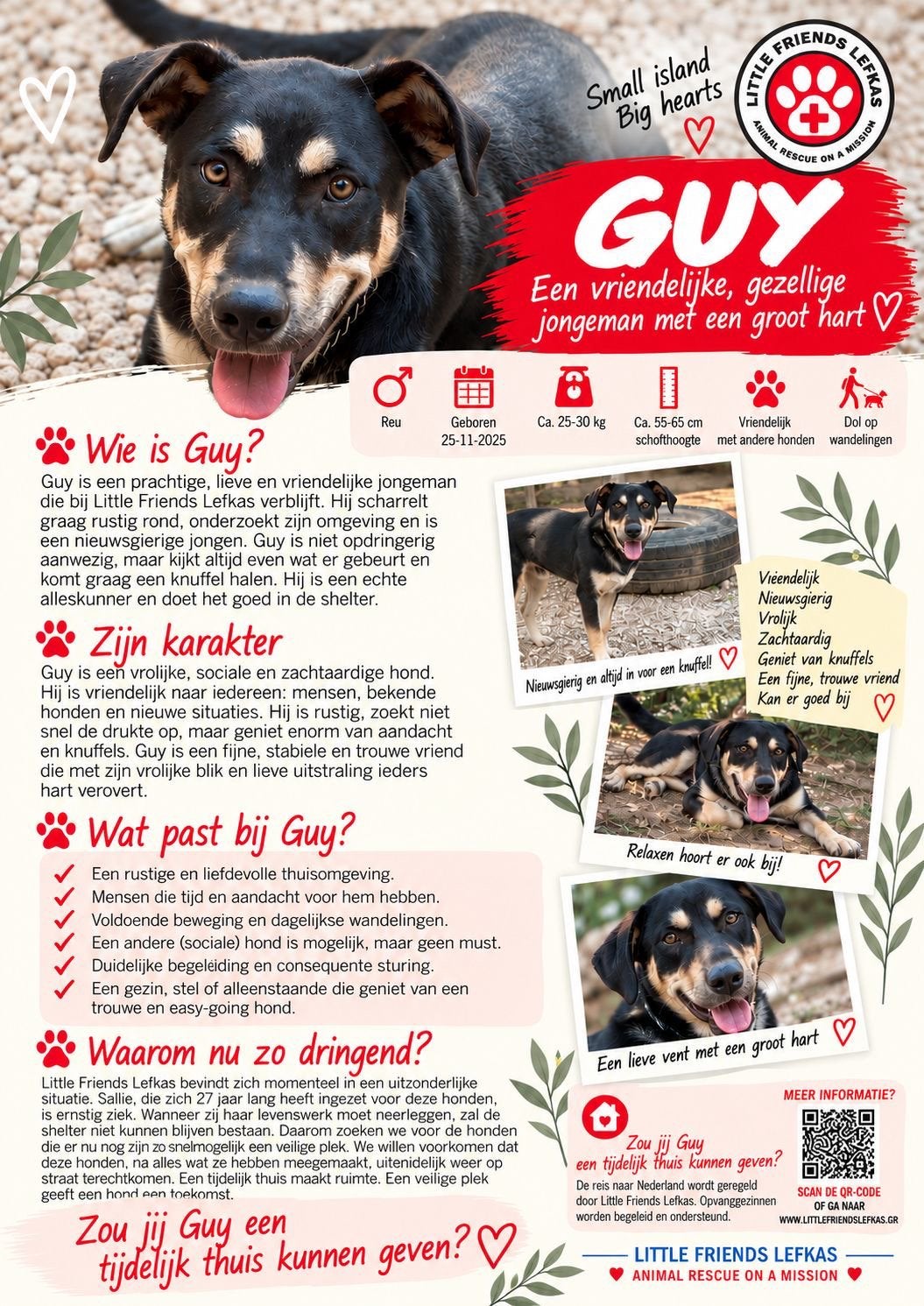 FOSTERGEZIN GEZOCHT VOOR GUY, Starter, Overige vormen, Overige uren, LBO / VMBO