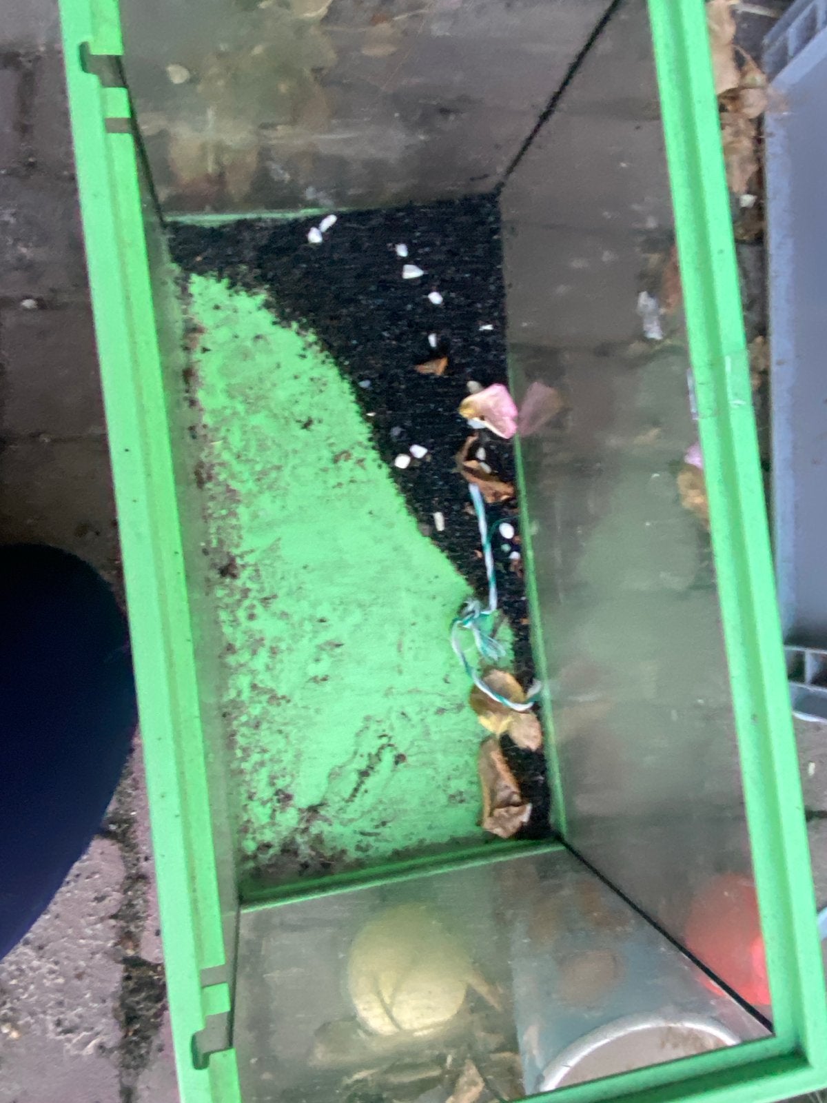 2 aquarium en 1 terrarium, Gebruikt, Overige merken, Ophalen of Verzenden, Leeg aquarium