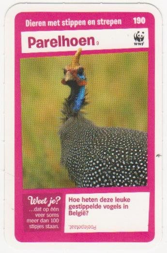 Super dieren no.190 Parelhoen [2798]  [VeOvSu], Albert Heijn, Ophalen of Verzenden