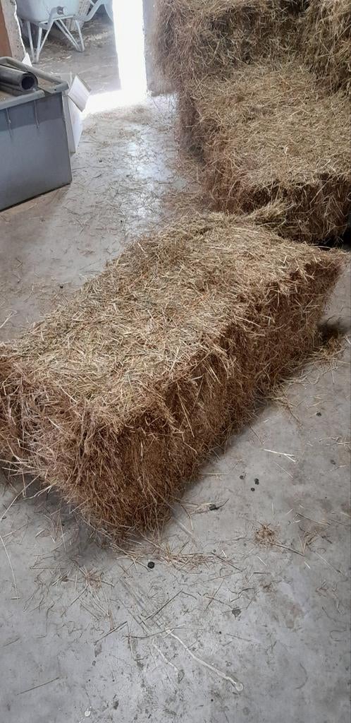 Hooi baaltjes, Dieren en Toebehoren, Dierenvoeding, Ophalen of Verzenden, Vee