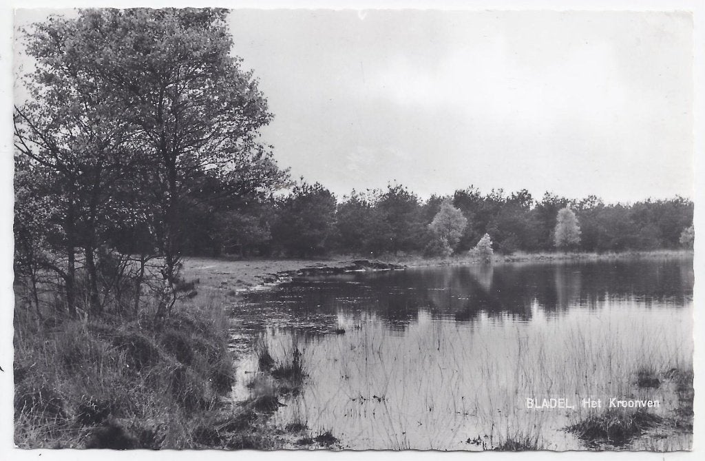 Bladel Het Kroonven Oude Gelopen Ansichtkaart ( B1486 ), Ophalen of Verzenden, 1980 tot heden, Gelopen