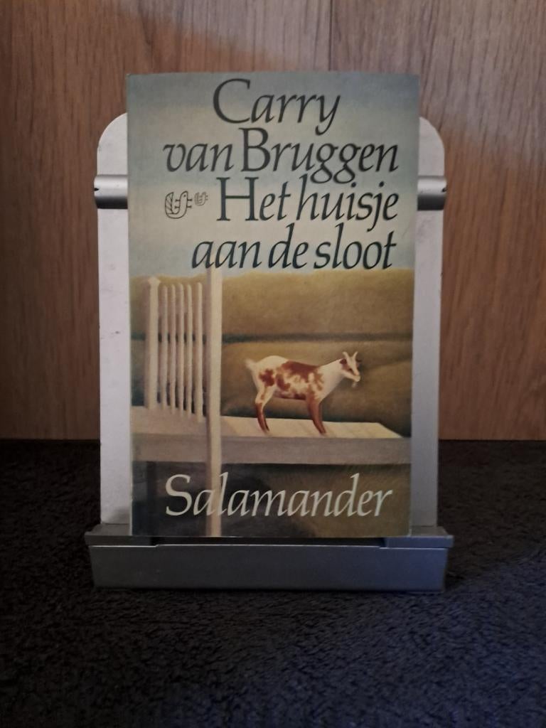 Het huisje aan de sloot - Carry van Bruggen (Salamander), Ophalen of Verzenden, Gelezen, Carry van Bruggen, Nederland