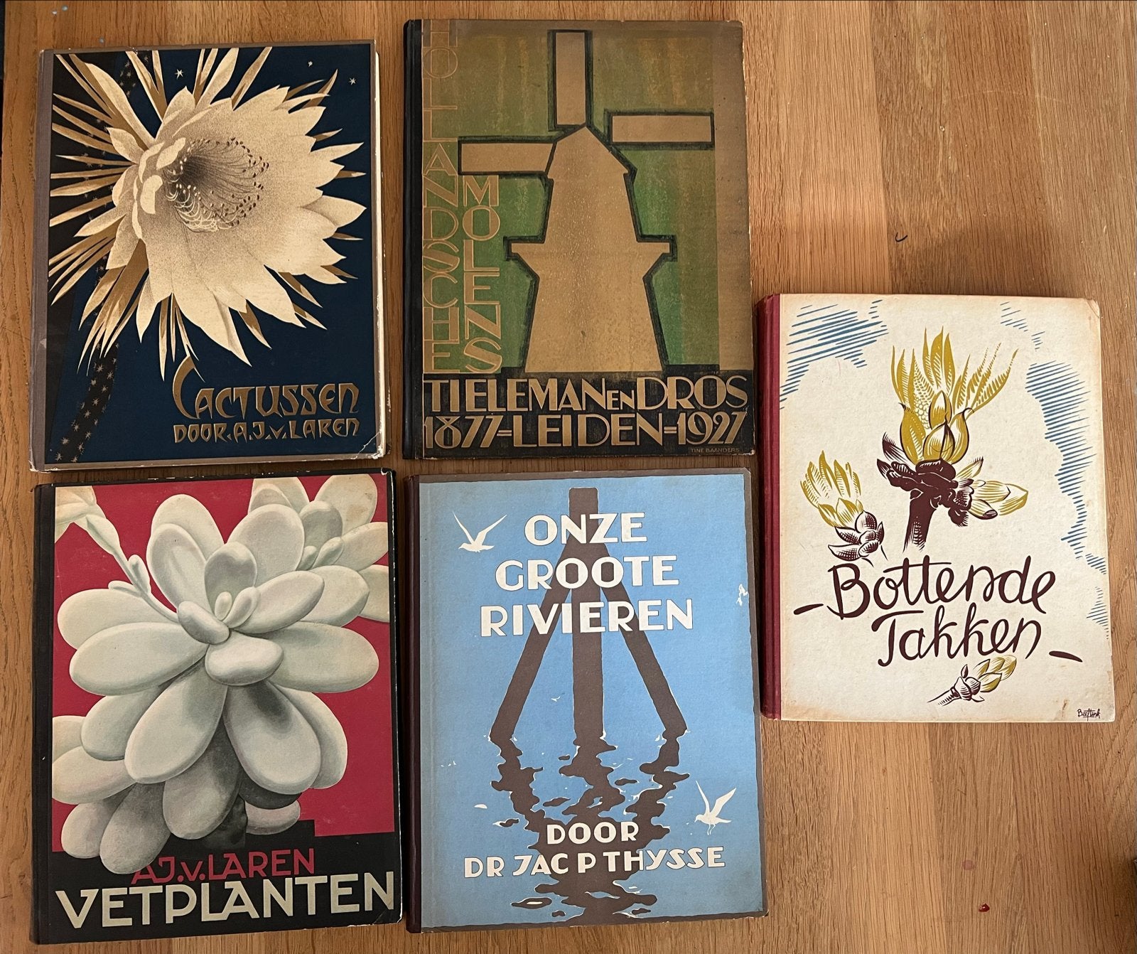 Verkade Plakplaatjes Plakboek Cactussen (1931), Boeken, Ophalen, Gelezen, Bloemen, Planten en Bomen