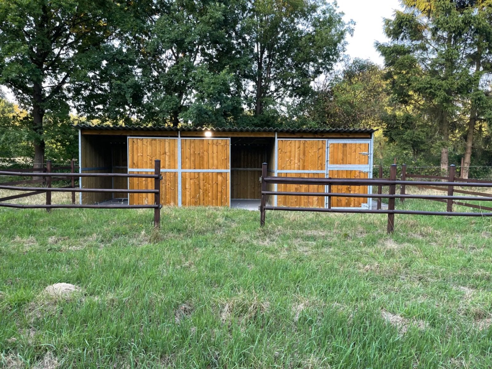 Weide gezocht koop of huur, Weidegang, 4 paarden of pony's of meer