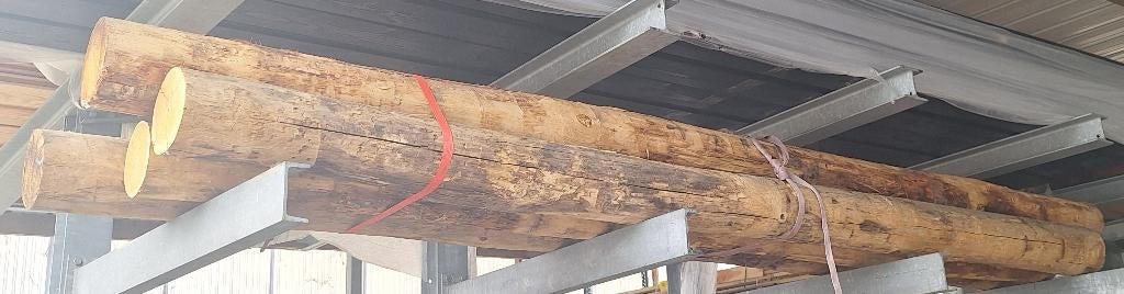 Kastanje palen, Tuin en Terras, Palen, Balken en Planken, Ophalen, 250 cm of meer, Palen