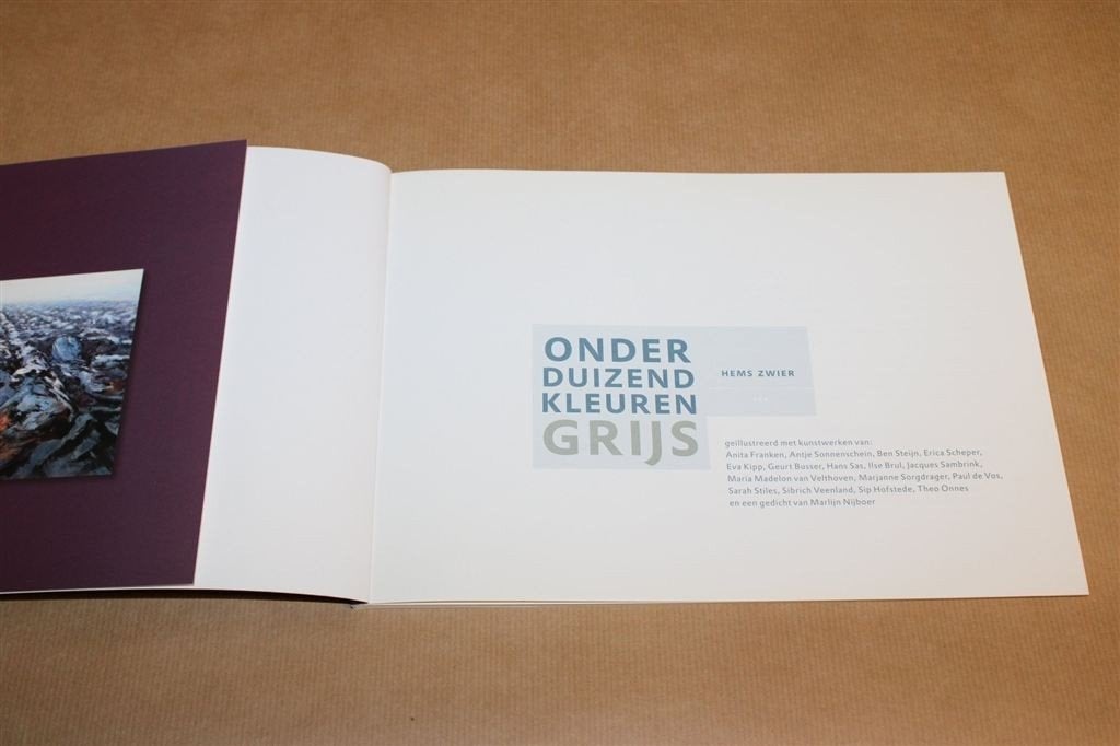 Onder Duizend Kleuren Grijs —Schilderijen Hogeland Groningen, Boeken, Ophalen of Verzenden, Zo goed als nieuw