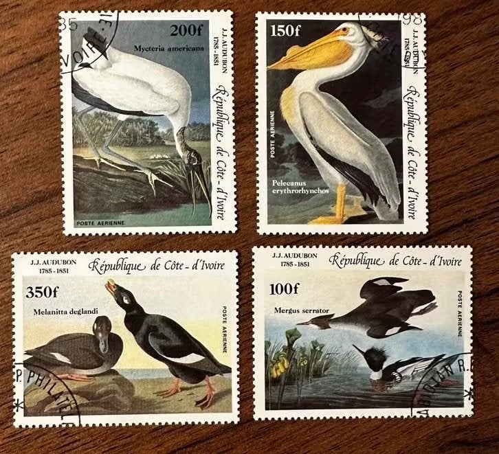 Ivoorkust 1985 Vogels: Pelikanen en andere vogels (Gestempel, Ophalen of Verzenden, Gestempeld