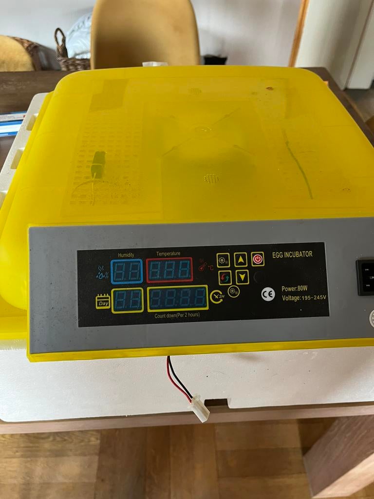 Broed machine. Automaat keren, Geslacht onbekend, Gans of Zwaan