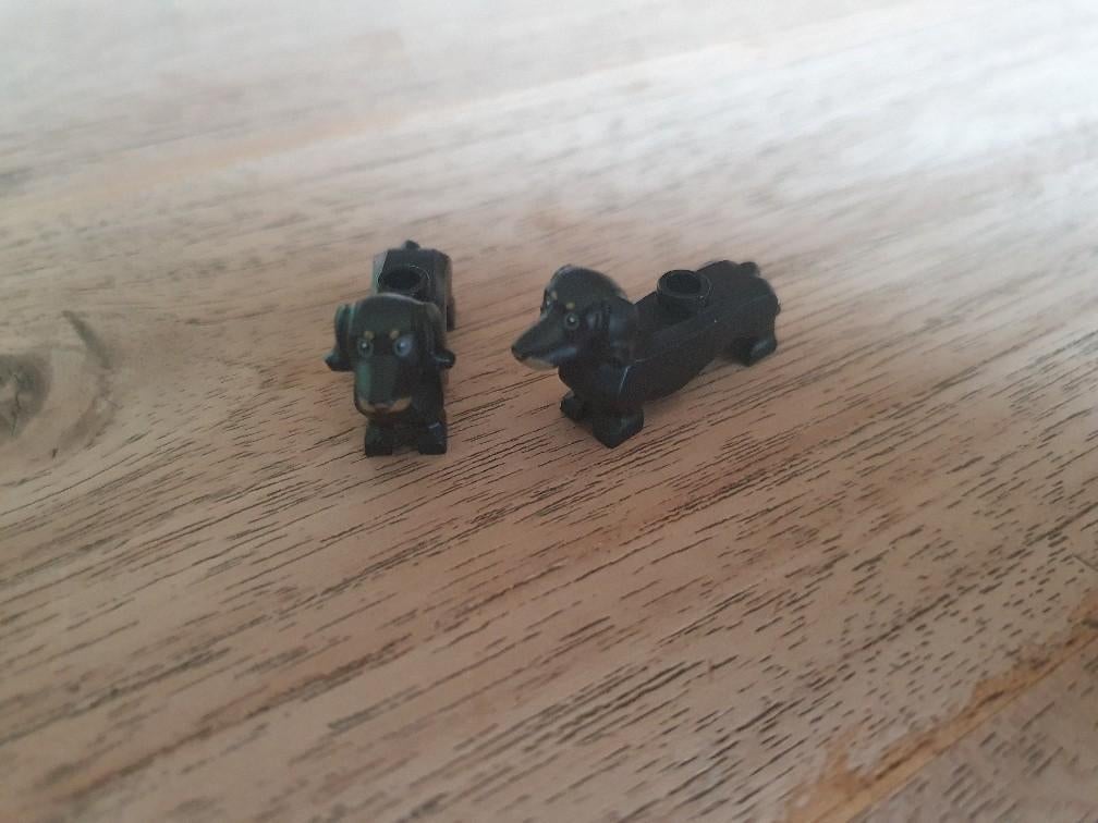 Twee nieuwe teckels van Lego, Lego, Lego, Lego, Nieuw