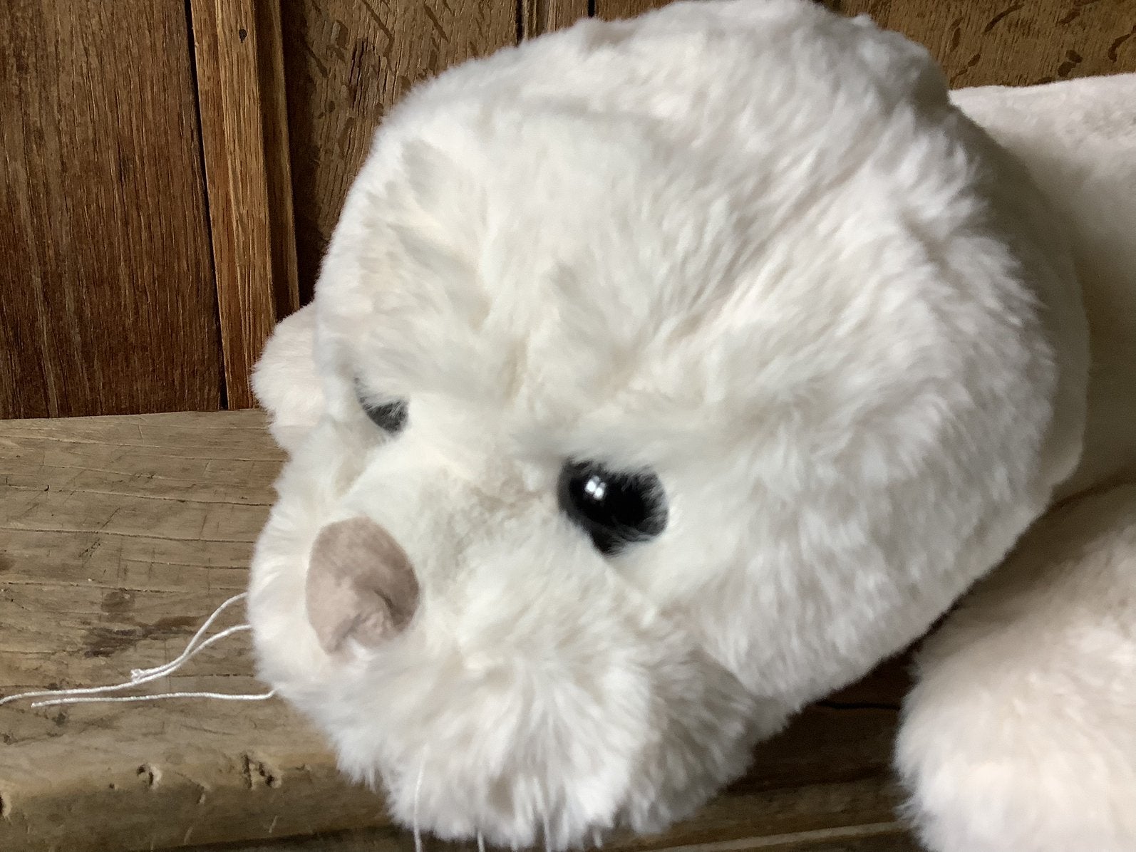 NIEUW Bukowski pluche knuffel zeehond HERB 40 cm, Kinderen en Baby's, Ophalen of Verzenden, Nieuw