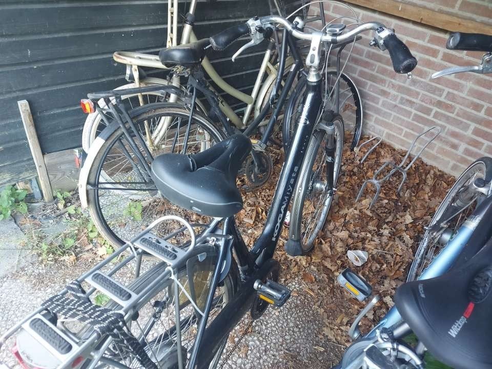 Koga Miyata damesfiets met lage instap, Velgrem, Ophalen, Overige merken, 53 tot 56 cm