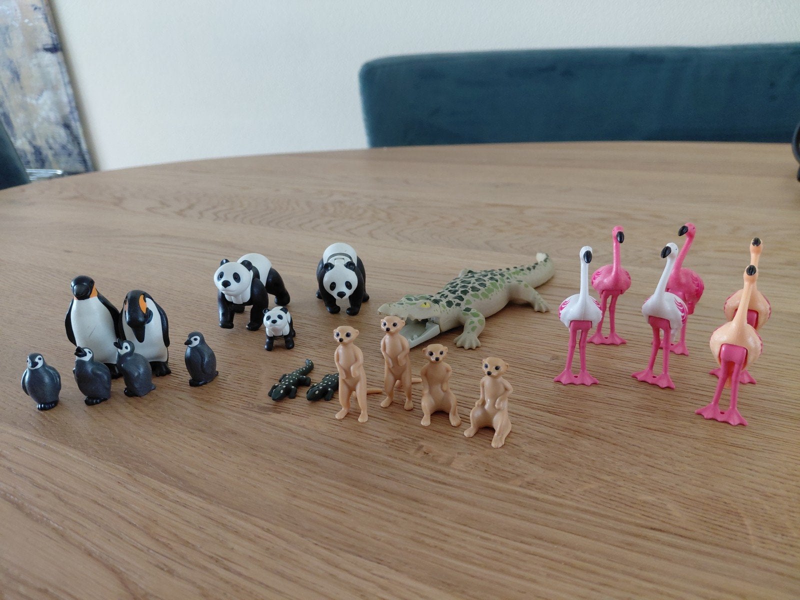 Dierenfiguur: Pinguïns, Panda's, Krokodil, Stokstaartjes, Ophalen