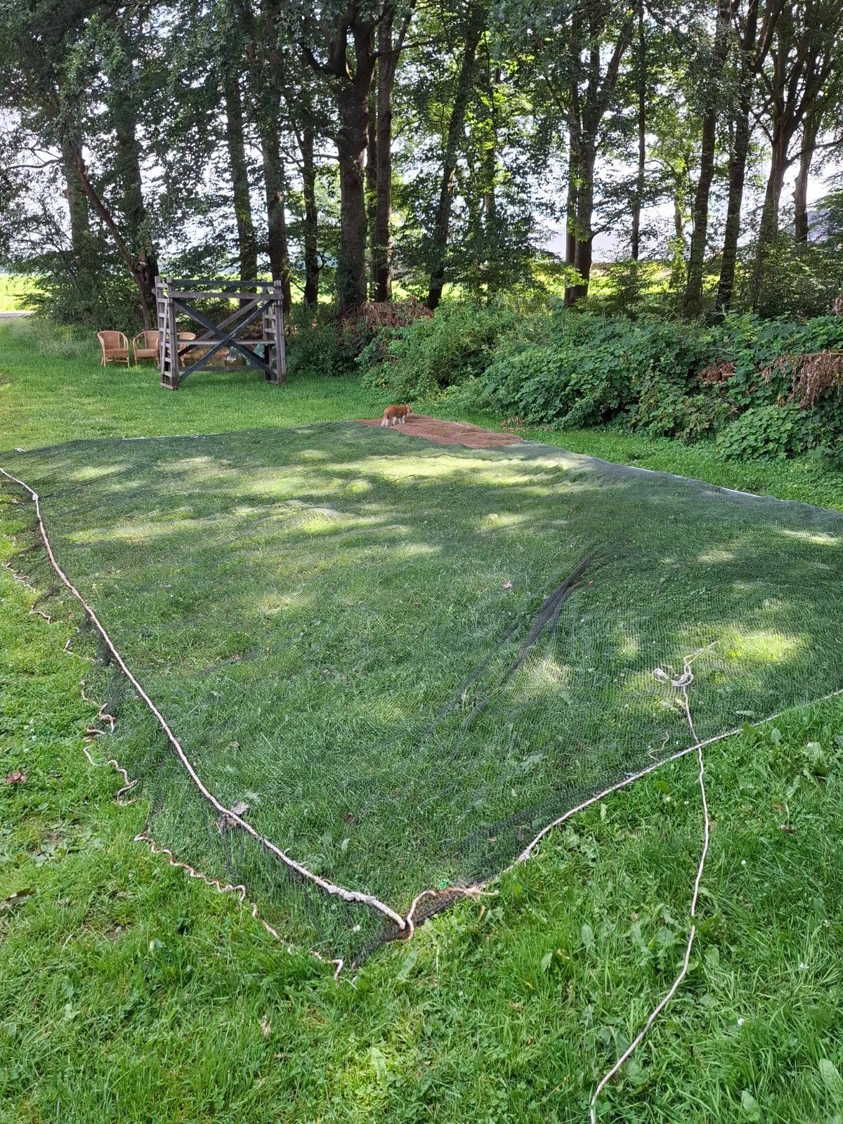 Oude vintage visnet 10x7 meter, Gebruikt, T, Ophalen of Verzenden, N