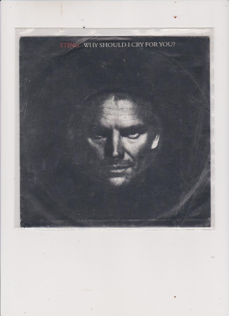 sting, Ophalen of Verzenden, Gebruikt, Pop