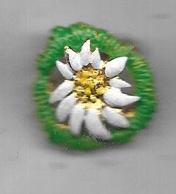 PRACHTIGE EDELWEISS BLOEMEN BROCHE SPELD, Ophalen of Verzenden, Gebruikt, Dier of Natuur, Speldje of Pin