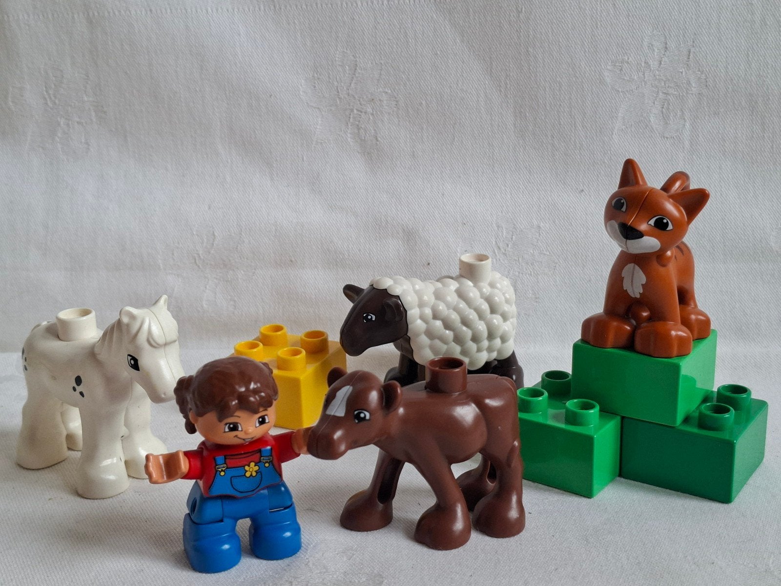 Duplo Ville Dierenverzorging set 5646, Ophalen of Verzenden, Zo goed als nieuw, Duplo, Complete set