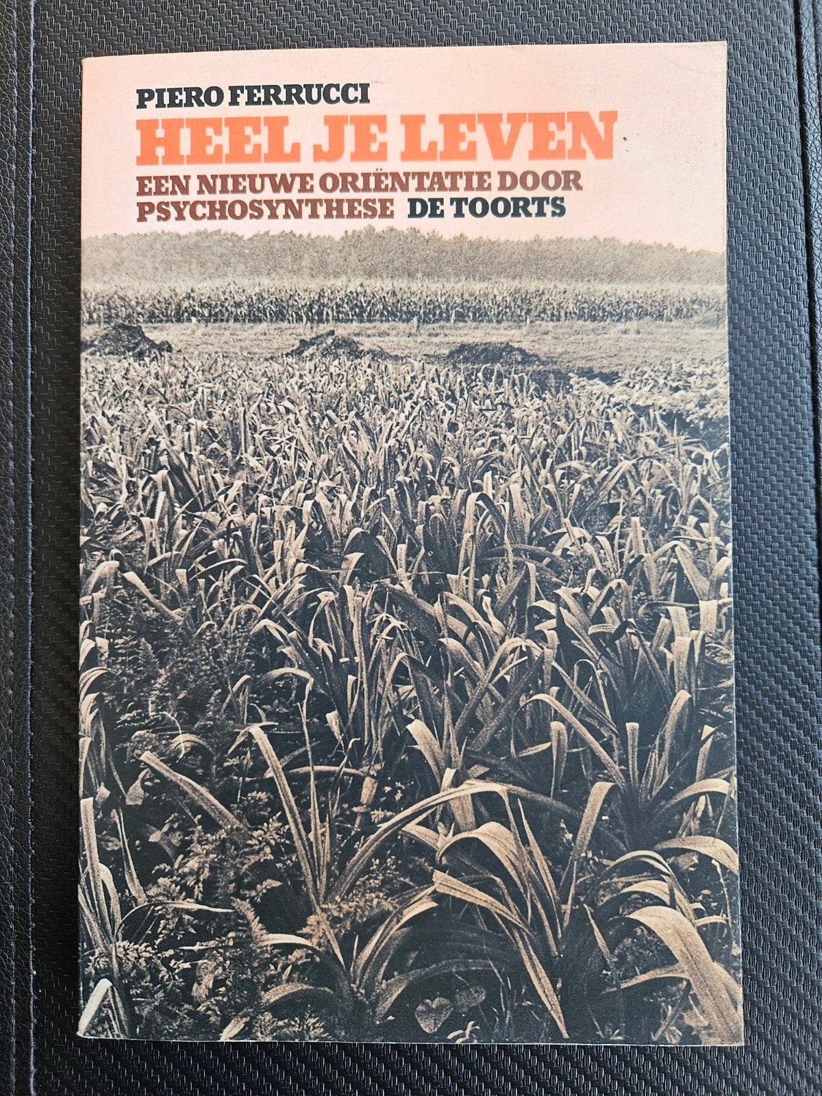 Heel je leven: Een nieuwe oriëntatie door Psychosynthese, Ophalen of Verzenden, Zo goed als nieuw, Overige onderwerpen, Piero Ferrucci