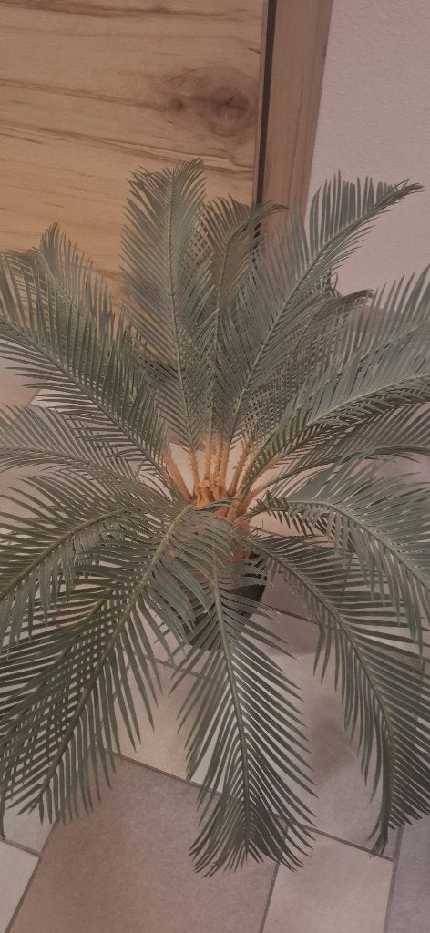 CYCAS kunstpalm - CASA - 60 cm, Ophalen, Groen, Met pot of vaas, Kunstplant