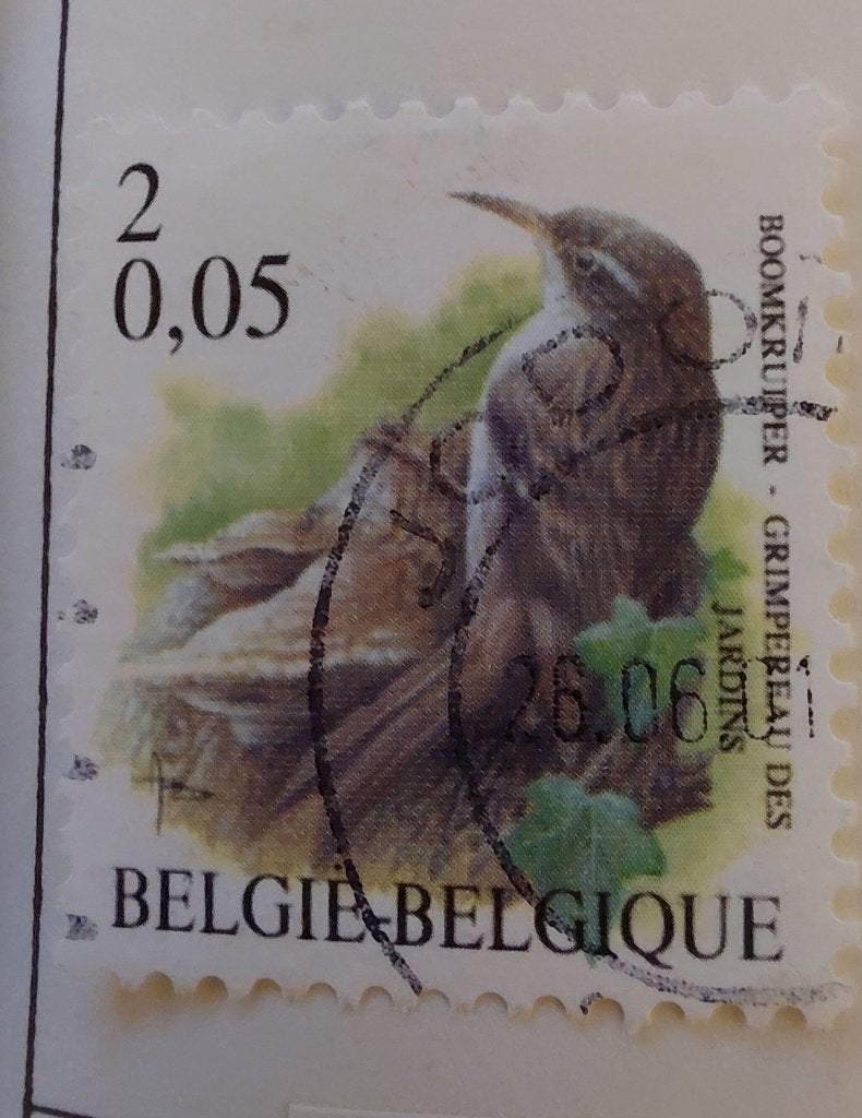 Belgie vogel boomkruiper, Verzenden, Gestempeld