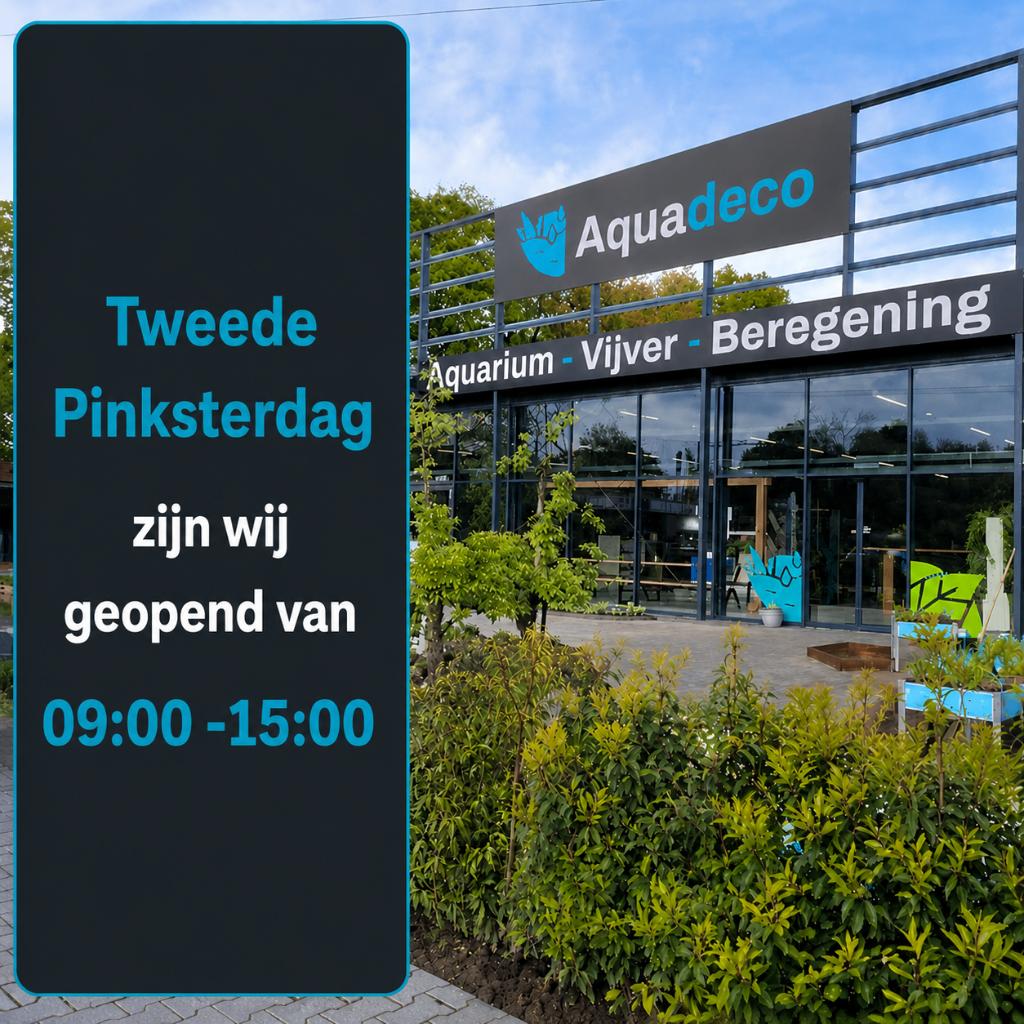 Tweede Pinksterdag geopend!, Overige soorten