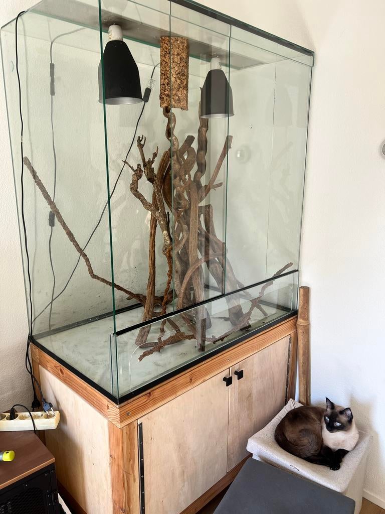 Groot terrarium lxbxh 100x60x110cm, Dieren en Toebehoren, Reptielen en Amfibieën | Toebehoren, Ophalen, Gebruikt, Terrarium of Paludarium