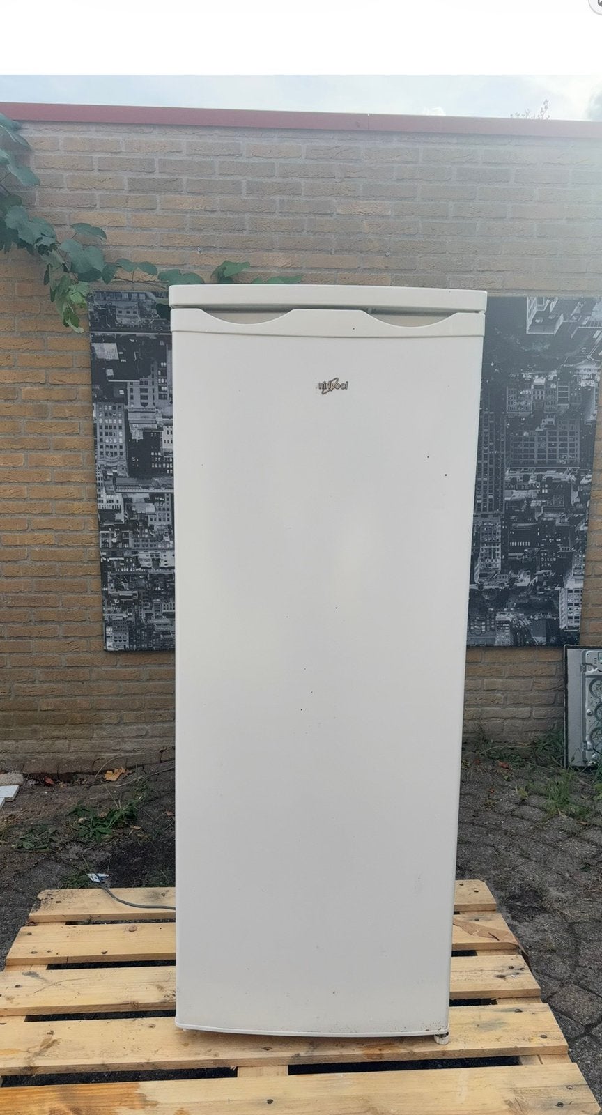 Whirlpool Koelkast RE240A - 240L - Zonder vriesvak, Ophalen, 200 liter of meer, 60 cm of meer, 160 cm of meer