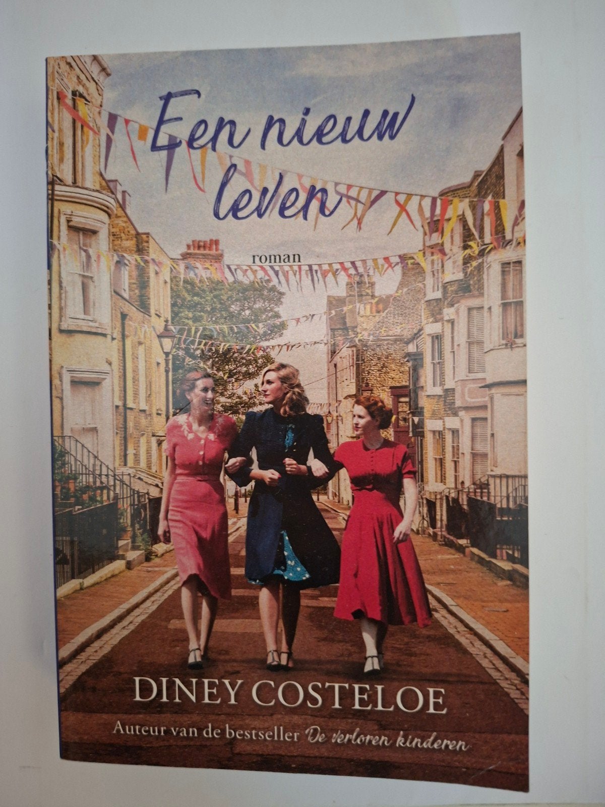 een nieuw leven diney costeloe roman, Boeken, Verzenden, Zo goed als nieuw