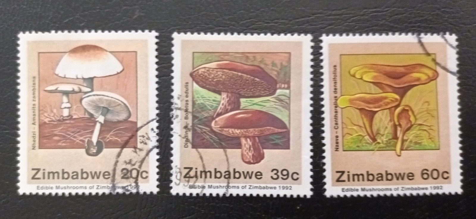 Zimbabwe 1992 ,3 pzs paddestoelen, Verzenden, Zimbabwe, Gestempeld
