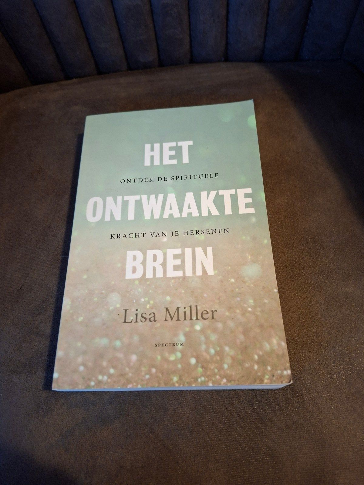 Het Ontwaakte Brein - Lisa Miller (Zo goed als nieuw), Achtergrond en Informatie, Spiritualiteit algemeen, Ophalen of Verzenden