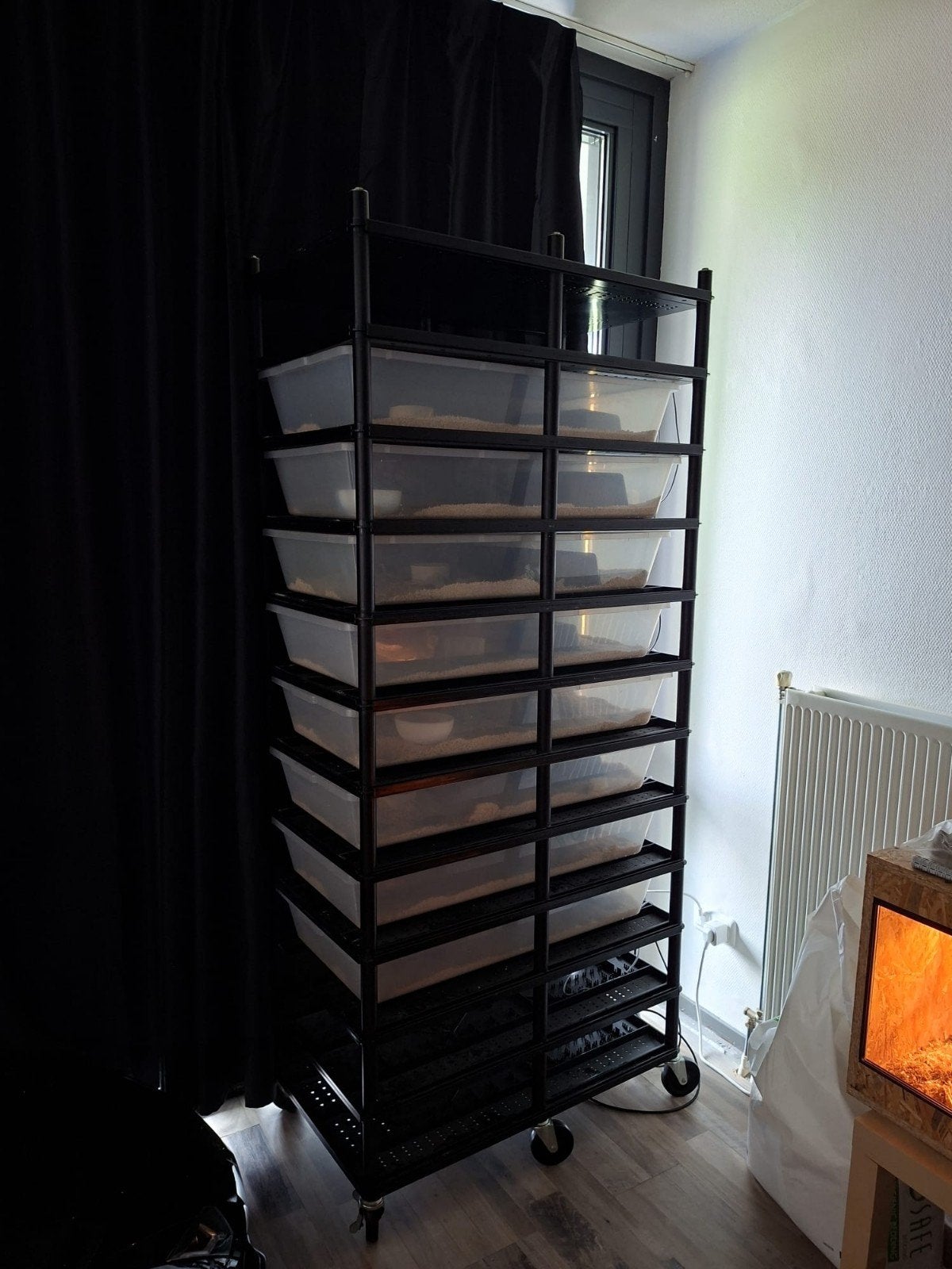 Kweekrack, Ophalen of Verzenden