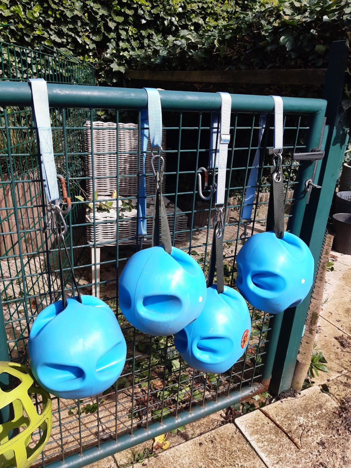 slowfeeder paard speel wortel bal / Shires carrot bal, Ophalen of Verzenden, Nieuw