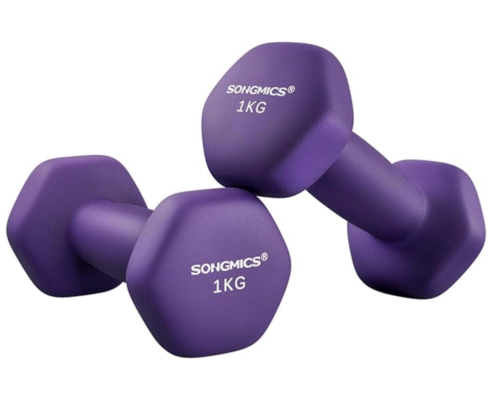 SONGMICS SYL902P02 HALTERSET, 2 HALTERS VAN 1 KG., Ophalen of Verzenden, Nieuw, Armen, Dumbbell