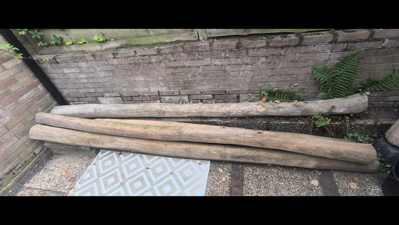 Robinia houten palen 4 stuks., Ophalen, Overige typen, Nieuw, Overige houtsoorten