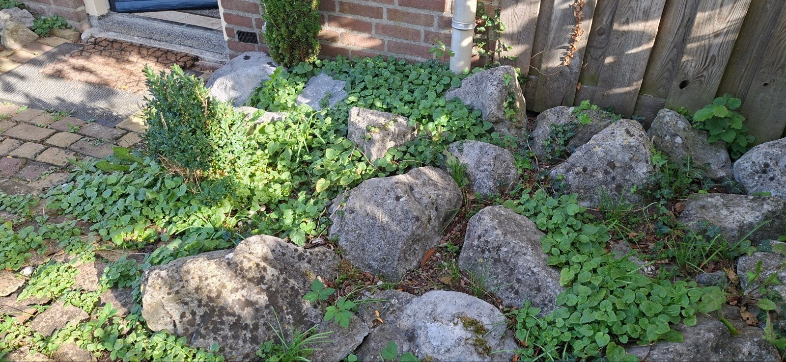 Foto 7 van Basalt blokken mooie voor aan je vijver Gratis met geld er b