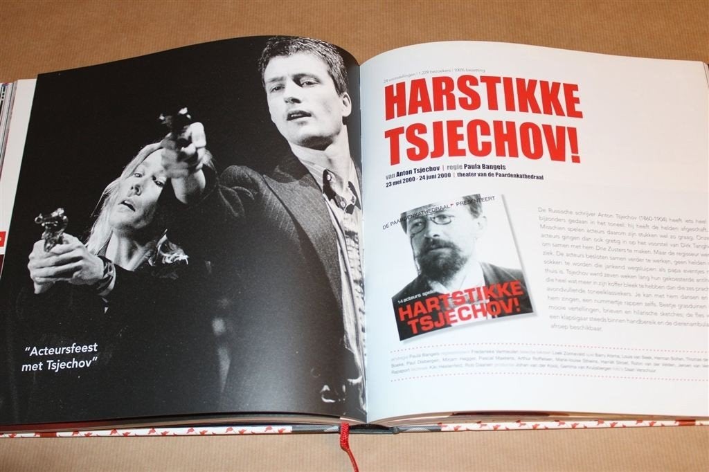 De Paardenkathedraal — Overzicht Theater [1996-2008], Boeken, Ophalen of Verzenden, Zo goed als nieuw, Toneel