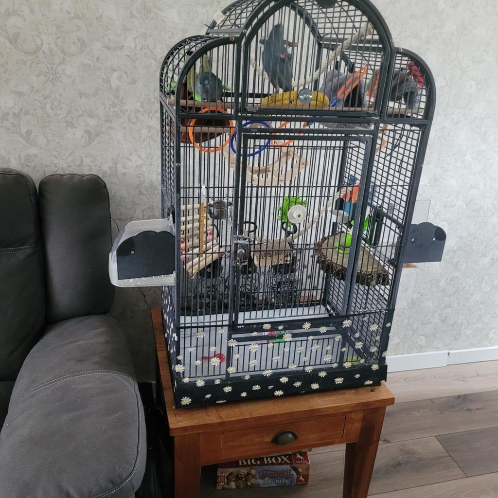 Grote vogelkooi met toebehoren. En heel veel extras, Ophalen of Verzenden, Zo goed als nieuw, Metaal, Vogelkooi