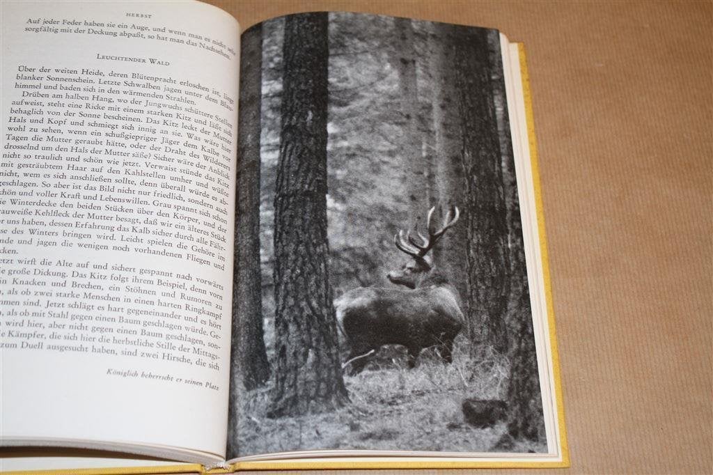 Jachtboek. In de kring van het jaar. Jagersbelevenissen., Boeken, Ophalen of Verzenden, Gelezen