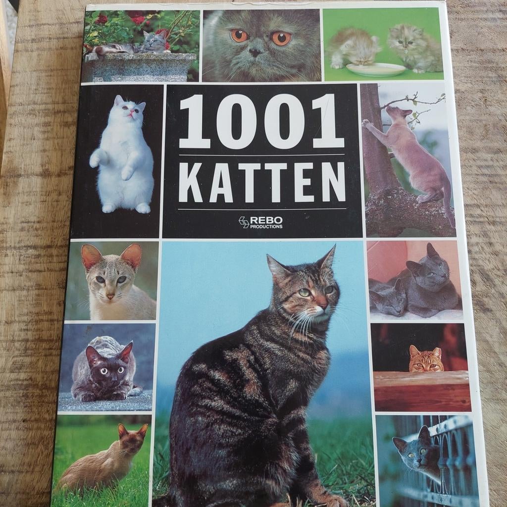 P. Coppe - 1001 katten, P. Coppe, Ophalen of Verzenden, Zo goed als nieuw, Paarden of Pony's