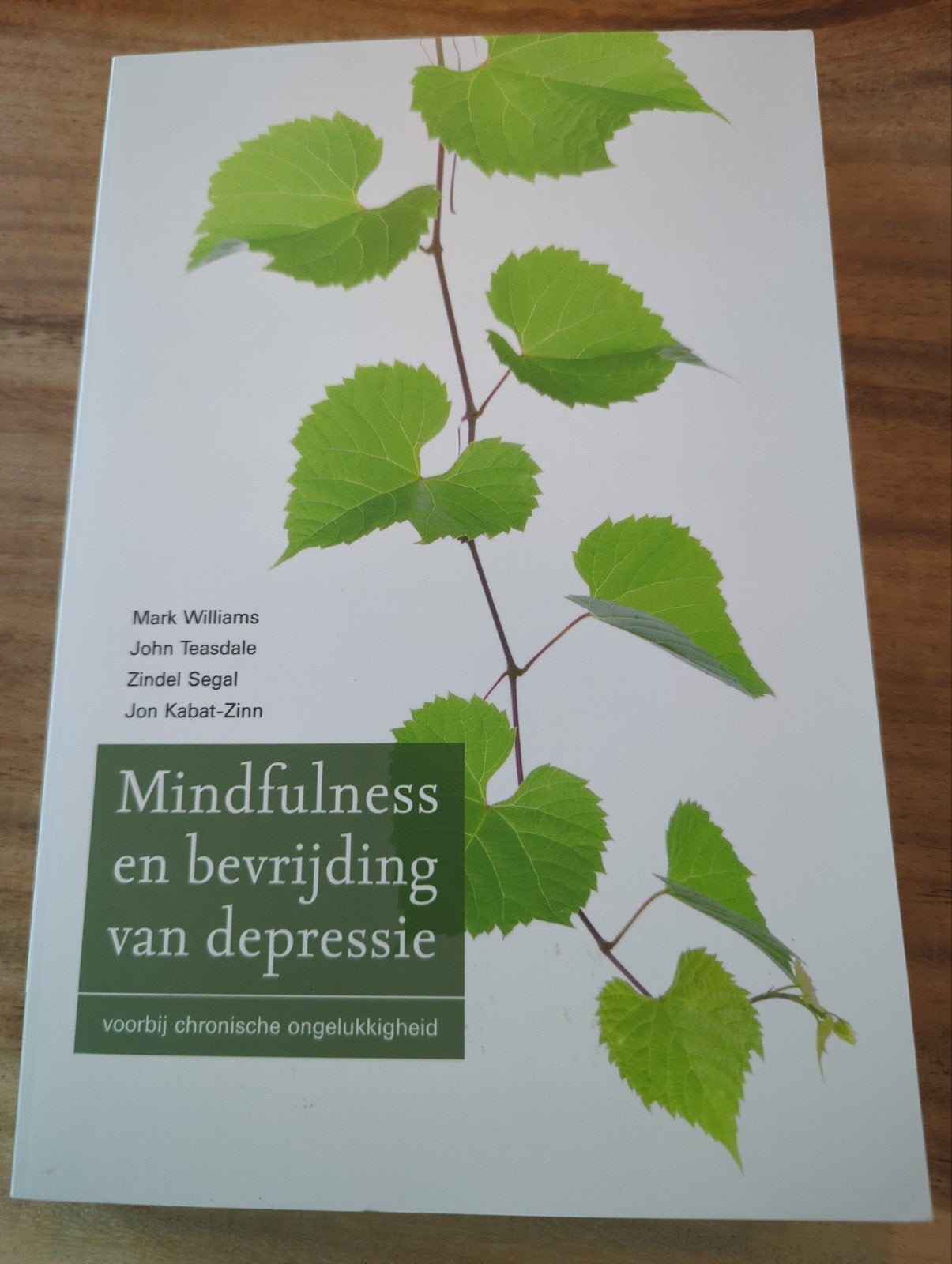 Mindfulness en bevrijding van depressie, Boeken, Ophalen of Verzenden, Zo goed als nieuw