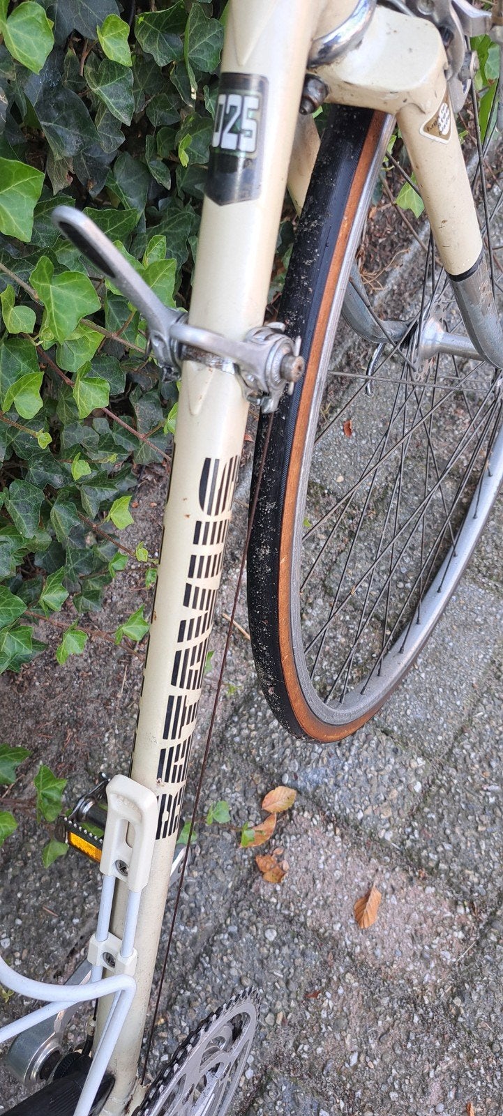 Batavus Criterium  oldtimer fiets, Fietsen en Brommers, Ophalen, Jaren '60 of nieuwer, Velgrem, Batavus