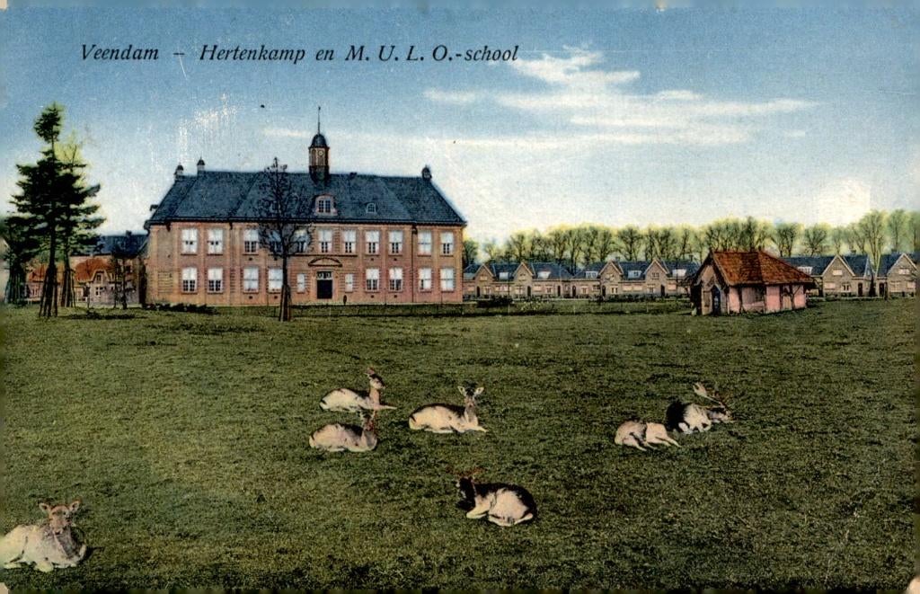 Veendam Hertenkamp en MULO school, Verzamelen, Verzenden, 1920 tot 1940, Gelopen, Groningen