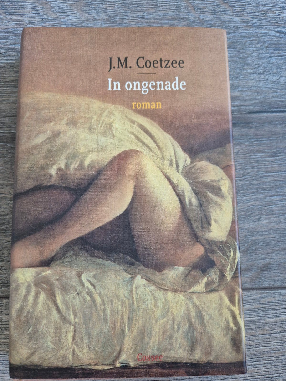 J.M. Coetzee - In ongenade (roman), Boeken, Ophalen of Verzenden, Gelezen, J.M. Coetzee, Wereld overig